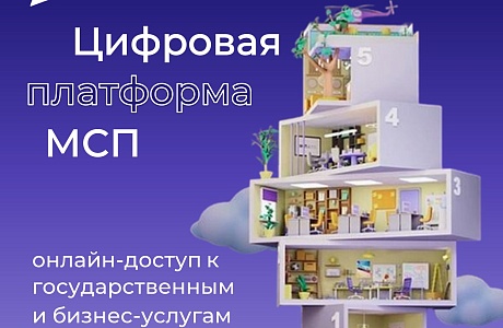 Более 2,5 тысяч пензенских предпринимателей воспользовались мерами поддержки Цифровой платформы МСП.РФ Более 2,5 тысяч пензенских предпринимателей воспользовались мерами поддержки Цифровой платформы МСП.РФ